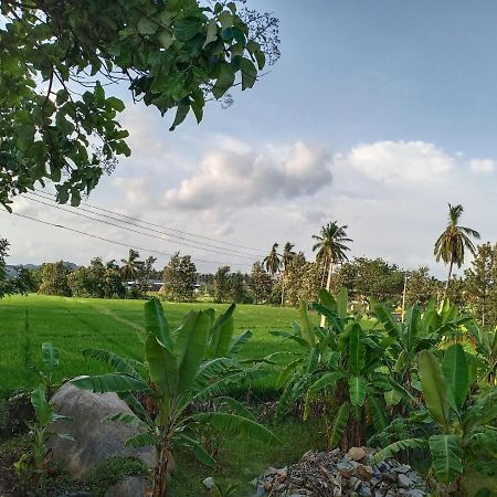 Gopi Plantation Homestay Hampi Kültér fotó