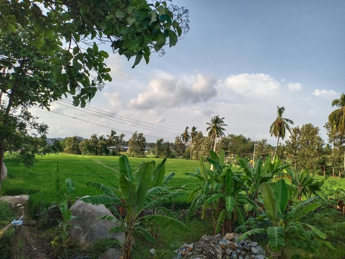 Gopi Plantation Homestay Hampi Kültér fotó