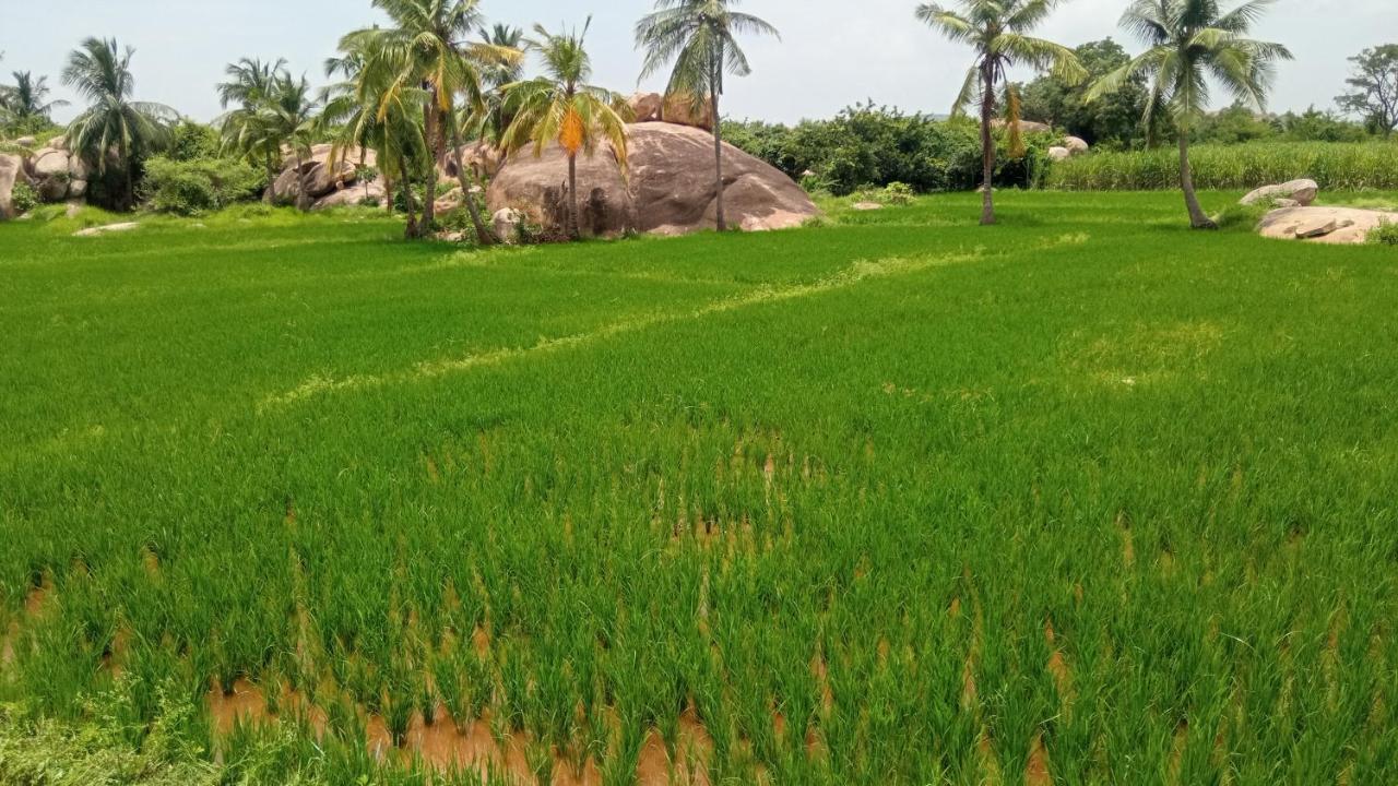 Gopi Plantation Homestay Hampi Kültér fotó
