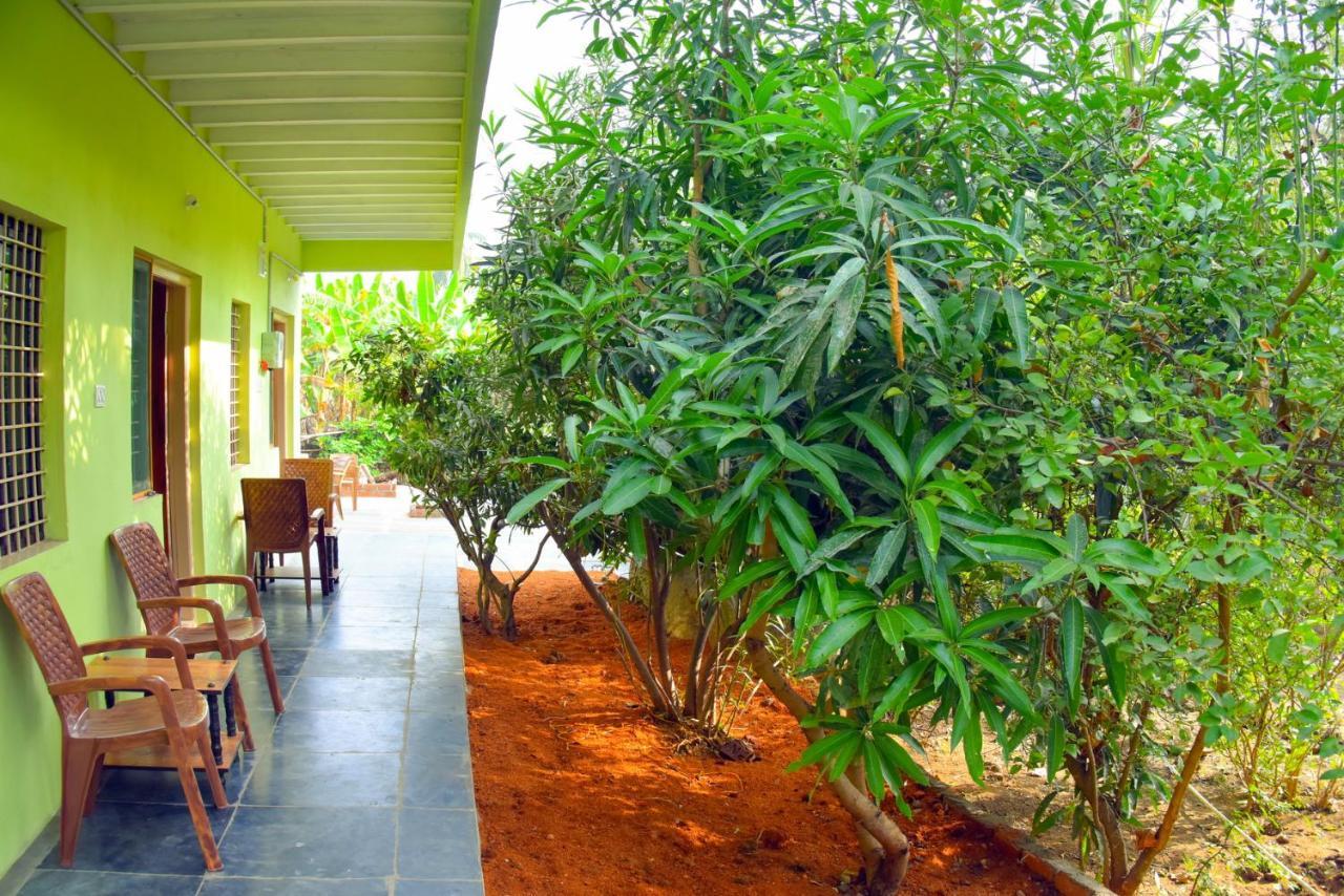 Gopi Plantation Homestay Hampi Kültér fotó