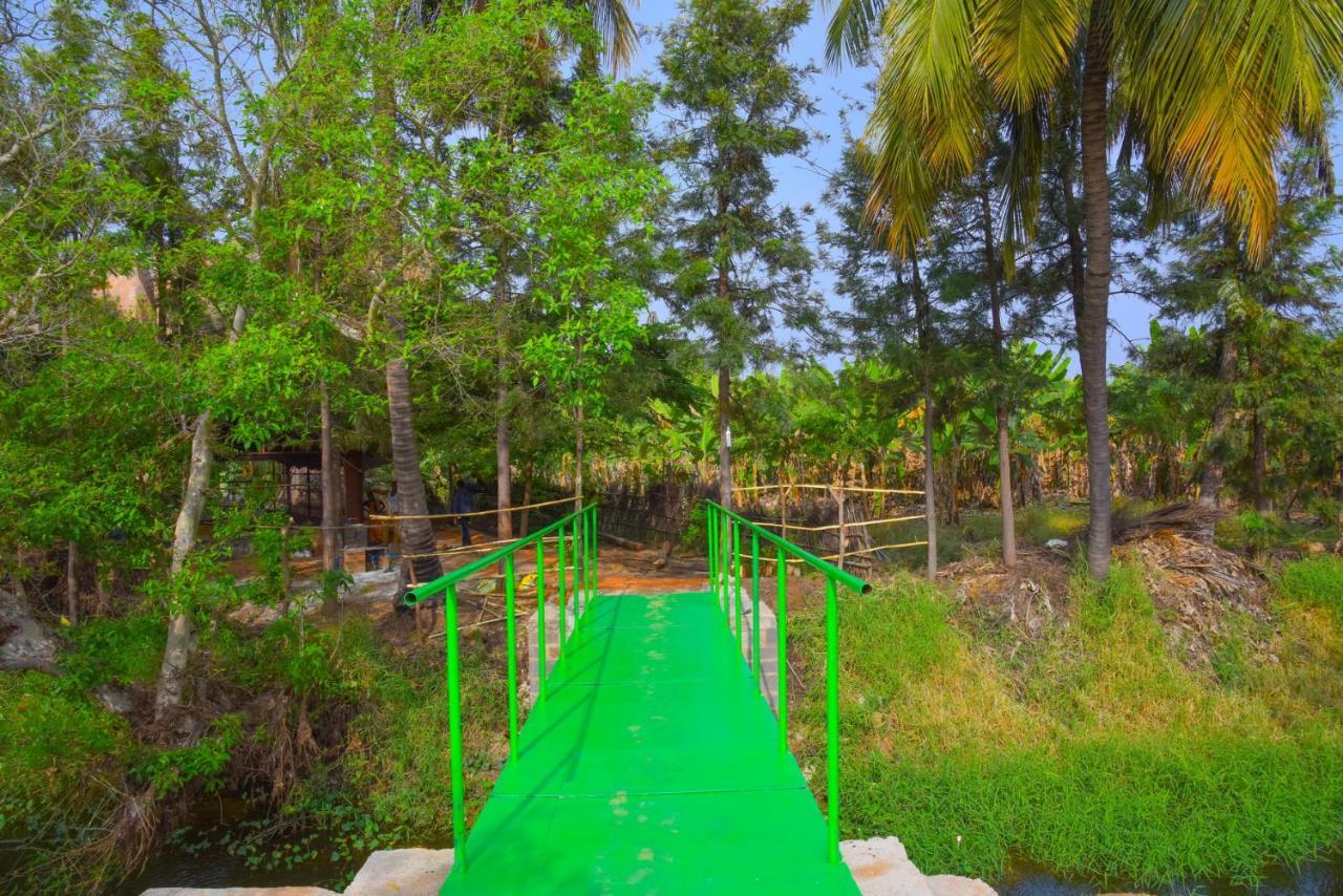 Gopi Plantation Homestay Hampi Kültér fotó